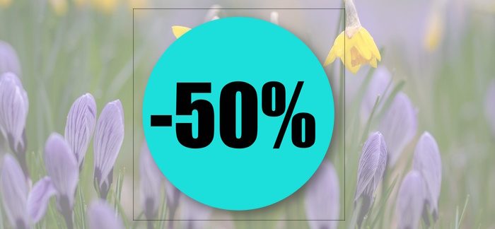 В компании «Честное слово» действует скидка до 50% на заём по промокоду
